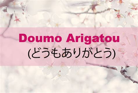 doumo arigatou