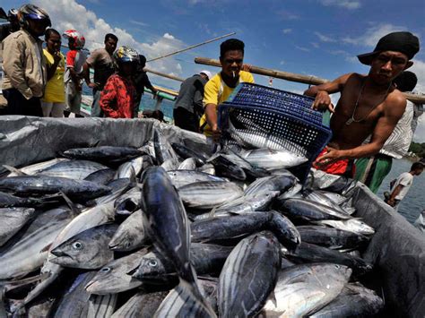 Potensi sumber daya alam di laut Jepang