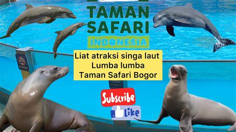 Pertunjukan Hewan di Taman Safari Bogor