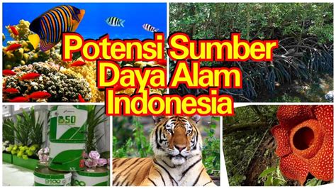 soal tematik kelas 1 sd tentang potensi sumber daya alam indonesia