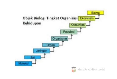 Organisme Biologi