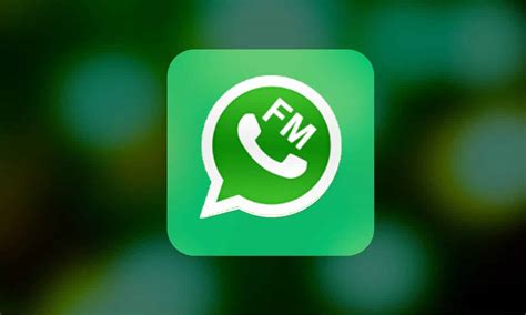 Instalasi Whatsapp FM Indonesia