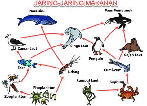 Kunci Jawaban Tema 3 Kelas 5 Halaman 104 Pendidikan