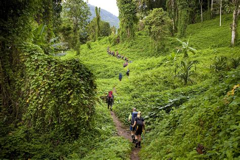 Trail di Indonesia
