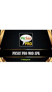 download PicSay Pro Mod Apk