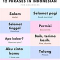 MIRU artinya in INDONESIA 