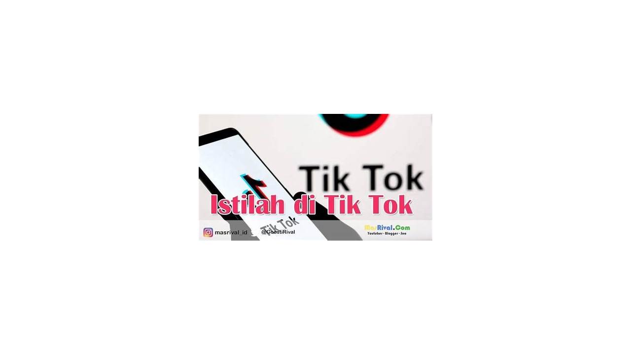 Tiktok VN artinya