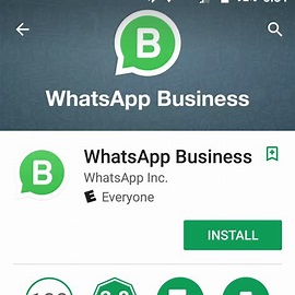 aplikasi whatsapp bisnis online