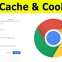 Clearing Cookies and Cache on Omegle