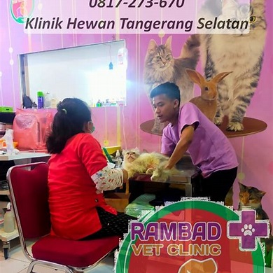 Pelayanan Dokter Hewan di Tangerang