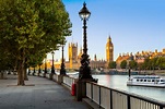 The treasures to be found along South Bank - The Montcalm Luxury Hotels ...