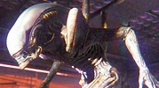 New Lifeless By Daylight's Killer Could Possibly Be Aliens' Xenomorph ...