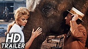Billy Rose's Jumbo (1962) ORIGINAL TRAILER [HD 1080p] - YouTube
