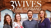 Watch Three Wives, One Husband - Free TV Shows | Tubi