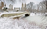 How to Explore Central Park in Winter | Travel Insider