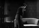 Night 'n' Gales (1937) - Cinema Cats