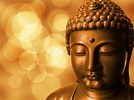 Buddha Face Free Stock Photo - Public Domain Pictures