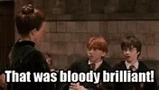 Ron Weasley Bloody Brilliant GIF - Ron Weasley Bloody Brilliant Harry ...