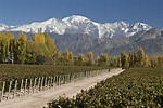 Mendoza...wine country | Turismo, Viajes, Argentina