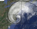 7 Beautiful Examples Of The Fibonacci Sequence In Nature