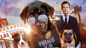 Show Dogs 2018, HD Movies, 4k Wallpapers, Images, Backgrounds, Photos and Pictures