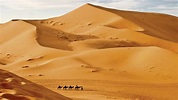 Leben in der Wüste – unendliche Weite und Freiheit? - Drei Beispiele ...