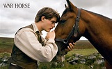 War Horse - War Horse The movie Wallpaper (28219793) - Fanpop