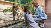 Erlebnis-Zoo Hannover: Preise für Eintritt bleiben 2023 stabil