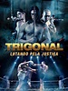 Pôster do filme Trigonal - Lutando pela Justiça - Foto 1 de 1 - AdoroCinema