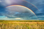 Colorful Connections: The Science Behind Rainbows