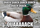 Quack, quack quack quack, quack quack.... Quaaaaack - Actual Advice ...