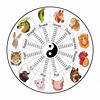 Колесо китайского зодиака с двенадцатью животными и именами животных ...