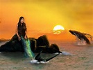 Unique Wallpaper: 40 imágenes de sirenas en el mar - Fantasy mermaids ...