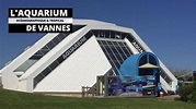 Aquarium de Vannes - YouTube
