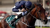 Joseph O’Brien makes history with Breeders’ Cup victory | Sport | The ...