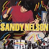 Sandy Nelson - King Of The Drums: His Greatest Hits (1995, CD) | Discogs