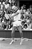 Wimbledon Tennis: Mens Finals 1981: John McEnroe v (Photos Prints ...