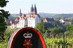 Weingut Schloss Proschwitz – Prinz zur Lippe › Weinbauverband Sachsen
