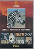 National Geographic - Zebras, Patterns in The Grass DVD: Amazon.co.uk ...