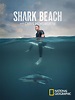 Shark Beach with Chris Hemsworth (TV Special 2021) - IMDb