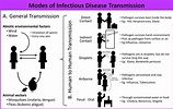 An Introduction to Infectious Disease - Science in the News