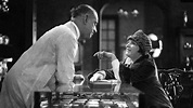 Menschen untereinander · Film 1926 · Trailer · Kritik