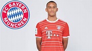 Tarek Buchmann-The New Van Djik In Bayern Munich - YouTube