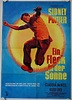Ein Fleck in der Sonne originales deutsches Filmplakat