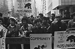 Lessons On The Black Panther Party From ‘Vanguard Of The Revolution ...
