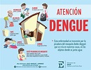 Reiteran recomendaciones para evitar la proliferación del dengue ...