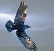Raven In Lightning Storm Digital Art by Judi Dressler