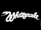 Whitesnake | Band logos, Rock band logos, Band wallpapers