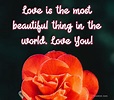 140 Beautiful Love Words And Romantic Love Messages for Loved One ...
