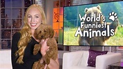 ‘World’s Funniest Animals’ | How to watch, live stream, TV channel, time